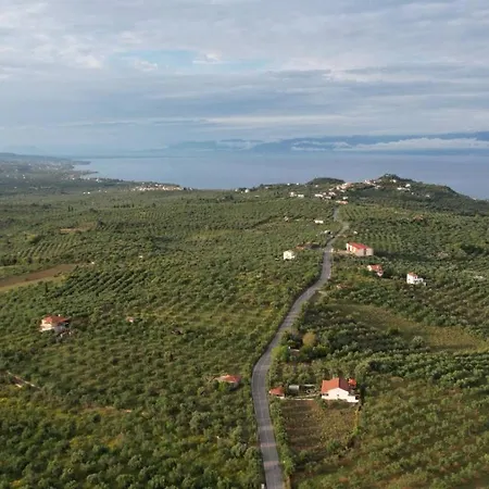 Apartment 3 Asteria
